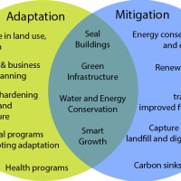 Notes on Climate Change Adaptation and Mitigation Strategies